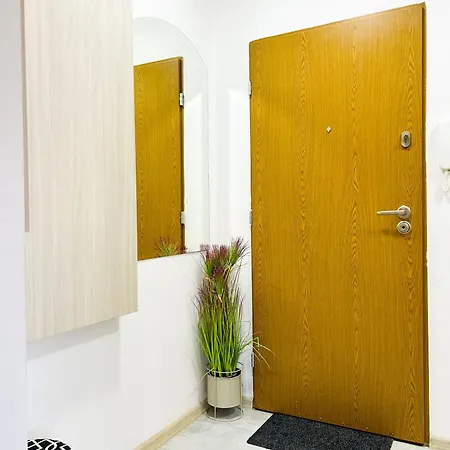 Apartament Lumina Cozy In *